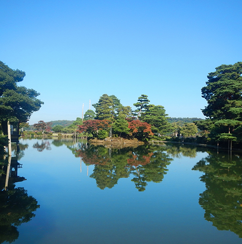 買取の基礎知識を学ぶ
